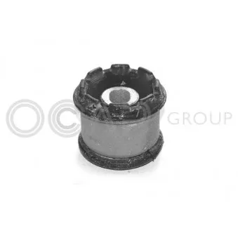 Support moteur OCAP