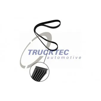 Courroie trapézoïdale à nervures TRUCKTEC AUTOMOTIVE