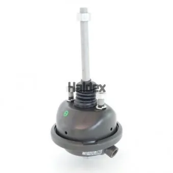 Cylindre de frein à diaphragme HALDEX 123120002