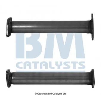Tuyau d'échappement BM CATALYSTS BM50833