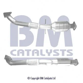 Catalyseur BM CATALYSTS BM92141H