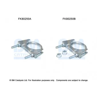 Kit d'assemblage, catalyseur BM CATALYSTS FK80250