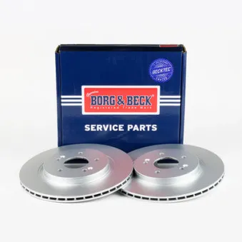 Jeu de 2 disques de frein arrière BORG & BECK BBD5613