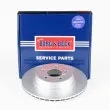 Jeu de 2 disques de frein arrière BORG & BECK BBD6040S - Visuel 1