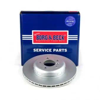 Jeu de 2 disques de frein arrière BORG & BECK BBD6176S