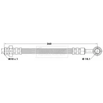 Flexible de frein BORG & BECK BBH6494