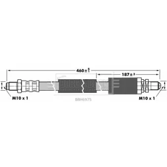 Flexible de frein BORG & BECK BBH6975