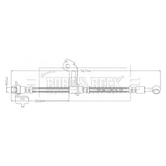 Flexible de frein BORG & BECK BBH8899