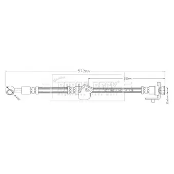 Flexible de frein BORG & BECK BBH8900