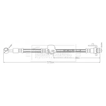 Flexible de frein BORG & BECK BBH8901