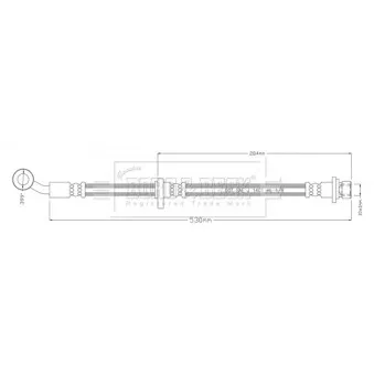 Flexible de frein BORG & BECK BBH8924