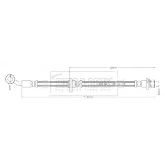 Flexible de frein BORG & BECK BBH8925