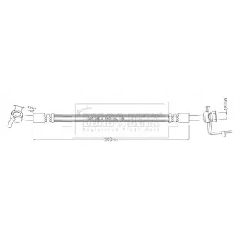 Flexible de frein BORG & BECK BBH8927