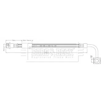 Flexible de frein BORG & BECK BBH8934