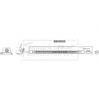 Flexible de frein BORG & BECK BBH8955