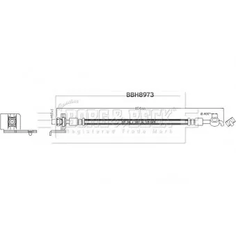 Flexible de frein BORG & BECK BBH8973