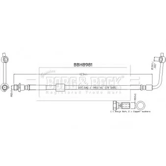 Flexible de frein BORG & BECK BBH8981