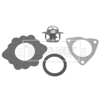 Thermostat d'eau BORG & BECK BBT002