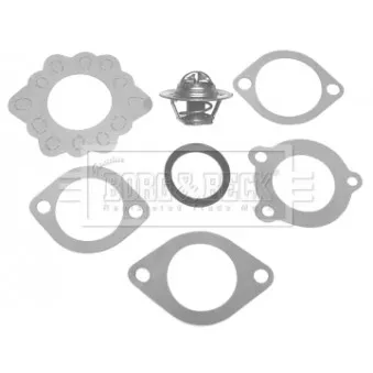 Thermostat d'eau BORG & BECK BBT006