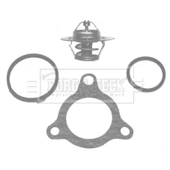 Thermostat d'eau BORG & BECK BBT016