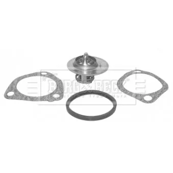 Thermostat d'eau BORG & BECK BBT037