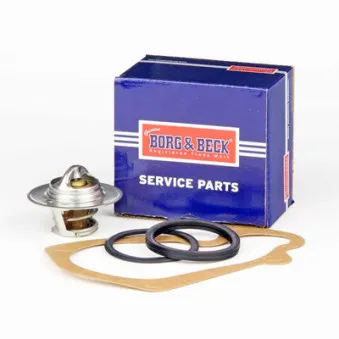 Thermostat d'eau BORG & BECK BBT043