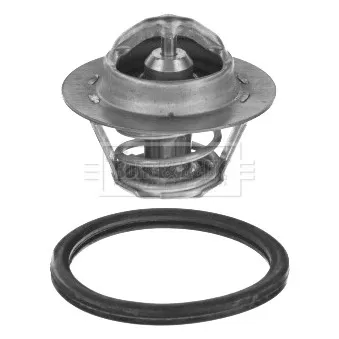 Thermostat d'eau BORG & BECK BBT064