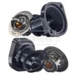 Thermostat d'eau BORG & BECK BBT069 - Visuel 2