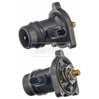 Thermostat d'eau BORG & BECK BBT092