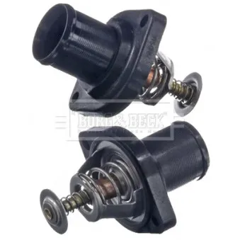 Thermostat d'eau BORG & BECK BBT116
