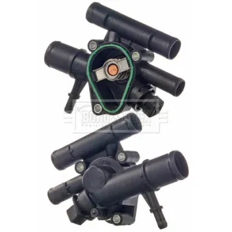 Thermostat d'eau BORG & BECK BBT118