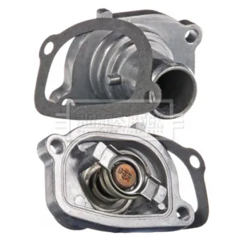 Thermostat d'eau BORG & BECK BBT126