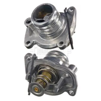 Thermostat d'eau BORG & BECK BBT130