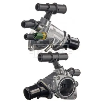 Thermostat d'eau BORG & BECK BBT133