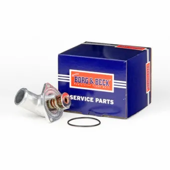 Thermostat d'eau BORG & BECK BBT134