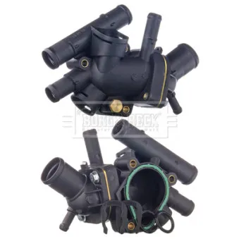 Thermostat d'eau BORG & BECK BBT141