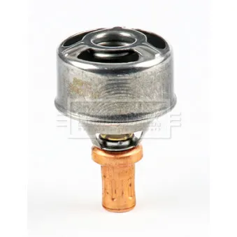Thermostat d'eau BORG & BECK BBT143