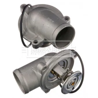 Thermostat d'eau BORG & BECK BBT151