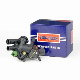 Thermostat d'eau BORG & BECK BBT165