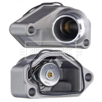 Thermostat d'eau BORG & BECK BBT168
