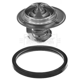 Thermostat d'eau BORG & BECK BBT178