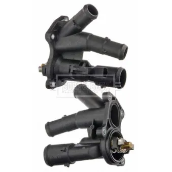 Thermostat d'eau BORG & BECK BBT200