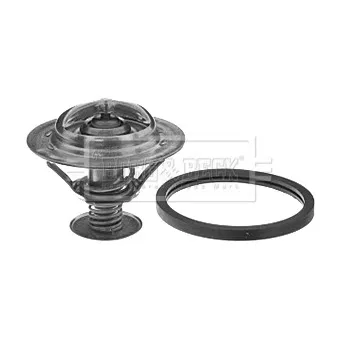 Thermostat d'eau BORG & BECK
