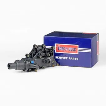 Thermostat d'eau BORG & BECK BBT342