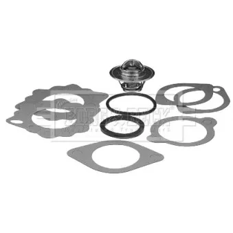 Thermostat d'eau BORG & BECK BBT352