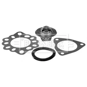 Thermostat d'eau BORG & BECK BBT363