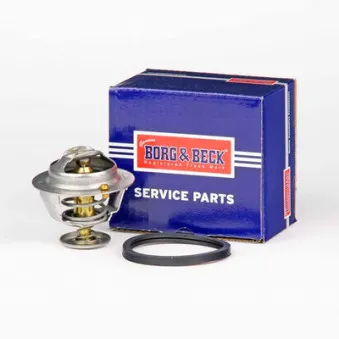Thermostat d'eau BORG & BECK BBT370