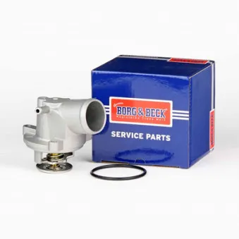 Thermostat d'eau BORG & BECK BBT371