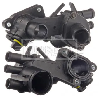 Thermostat d'eau BORG & BECK BBT375