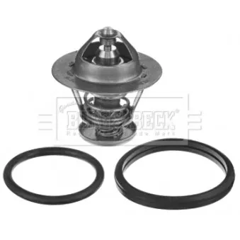 Thermostat d'eau BORG & BECK BBT429
